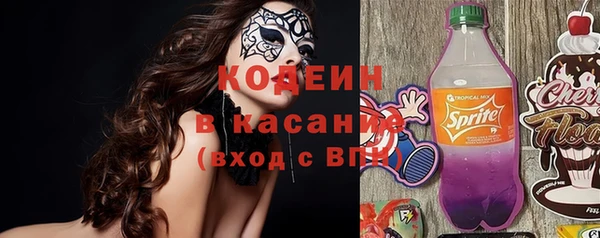 хмурый Алзамай